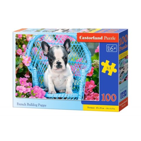 Puzzle 100 french bulldog pupy