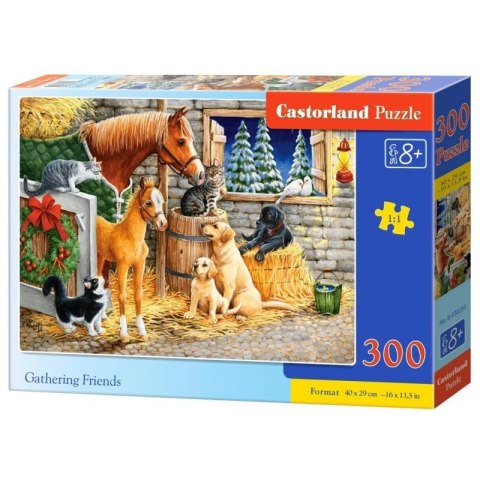 Puzzle gathering friends 300