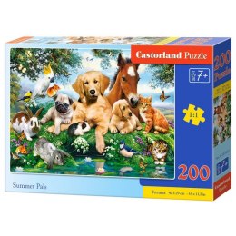 Puzzle 200 summer pals