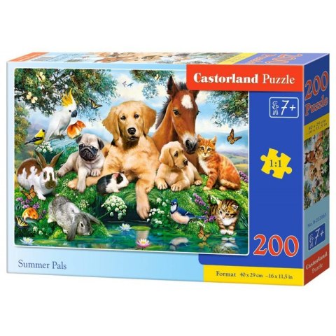 Puzzle 200 summer pals