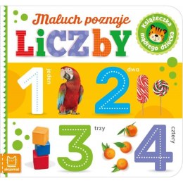 Maluch poznaje liczby