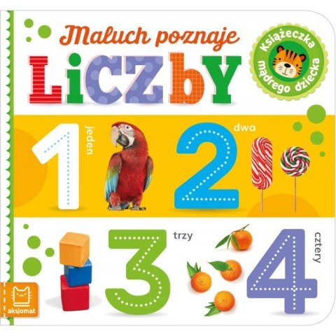 Maluch poznaje liczby